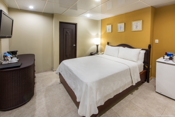 Hotel HODELPA CENTRO PLAZA (Santiago de los Caballeros)